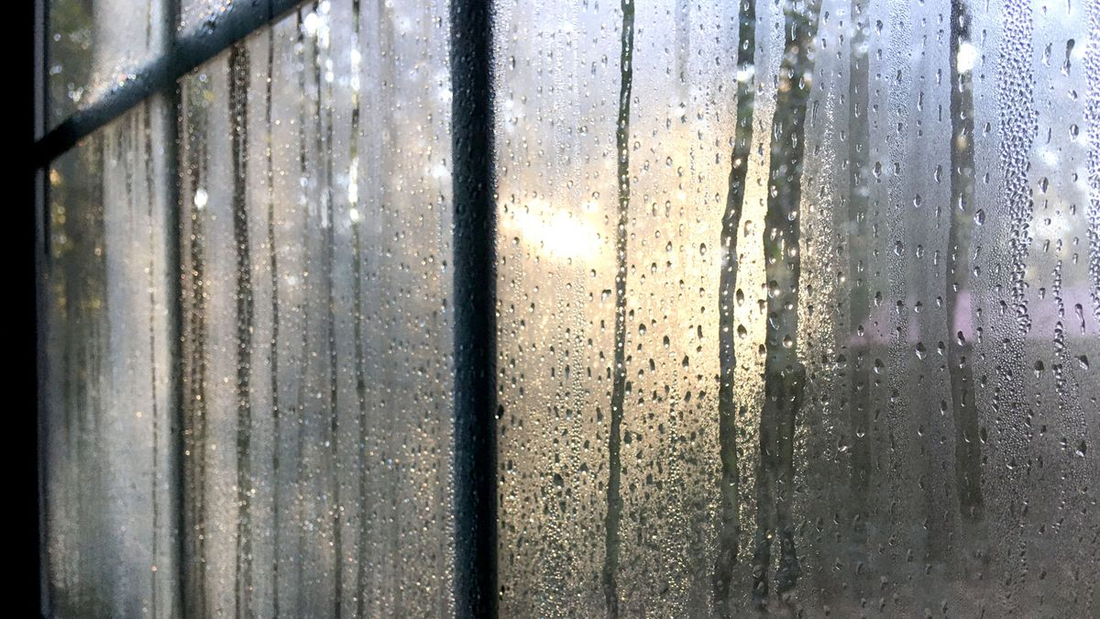 Understanding Condensation and How to Prevent It in Your Home